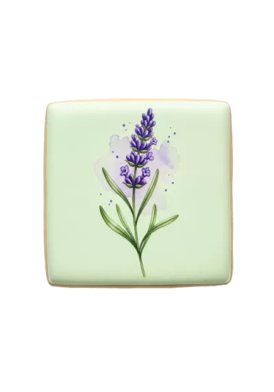 Imagen PNG para descargar